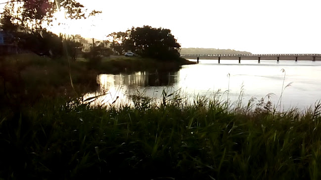 Blue Swimmer at Seahaven