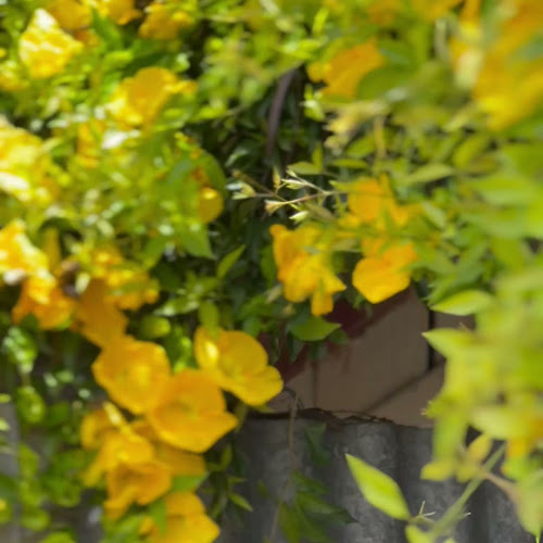 Opinii despre Trading Post Laguna în Sydney - Hospitality and gastronomy