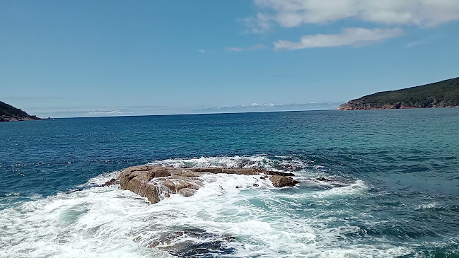 Opinii despre Ice Creamery & Co. în Coles Bay - Hospitality and gastronomy