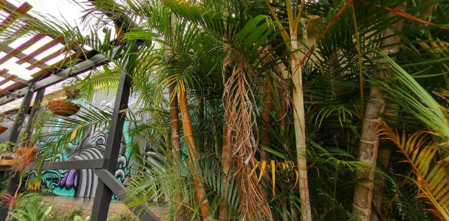 Social Grounds Cafe - Hospitality and gastronomy