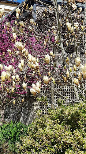 Opinii despre Hickory's Restaurant & Bar în Bowral - Hospitality and gastronomy