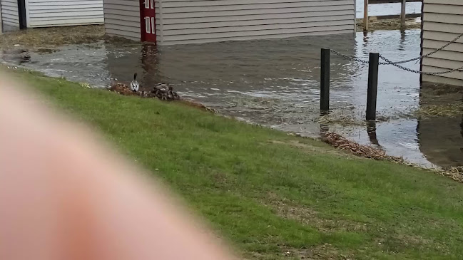 Opinii despre The Lake View Hotel în Lake Wendouree - Hospitality and gastronomy