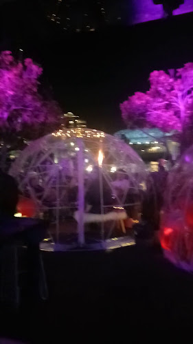 Cargo Bar - Hospitality and gastronomy