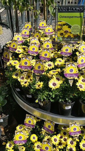 Van Loon’s Cafe - Melbourne