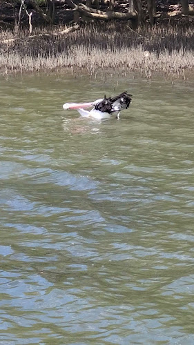 The Big Oyster & Seafood - Hospitality and gastronomy