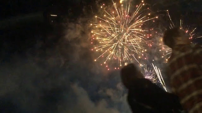 Comentarii opinii despre The Duke of Wellington