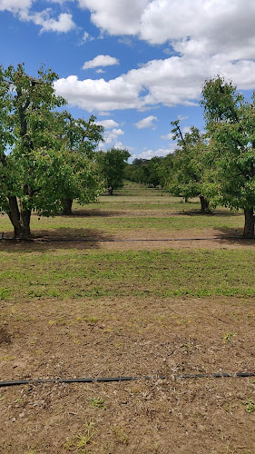 Opinii despre Orchard 1 Sixty în Donnybrook - Hospitality and gastronomy