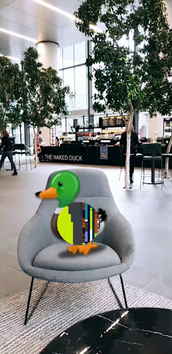 The Naked Duck Castlereagh