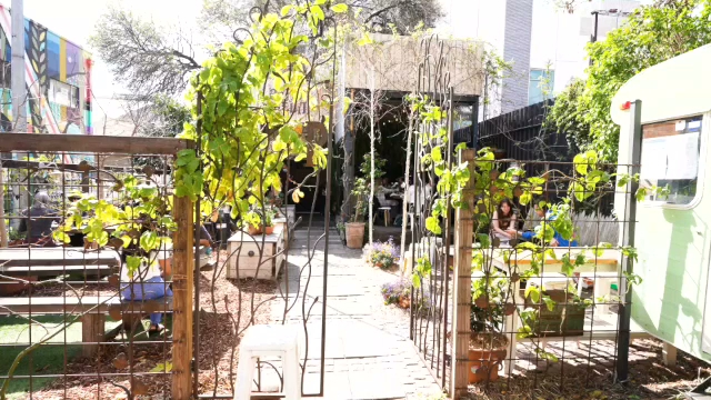 Opinii despre Peter Rabbit Cafe în Adelaide - Hospitality and gastronomy