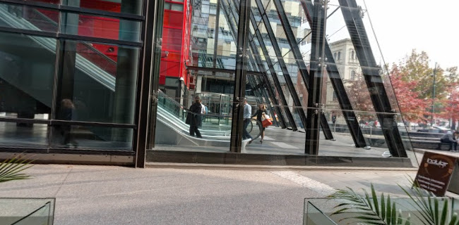 Indulge Fine Belgian Chocolates