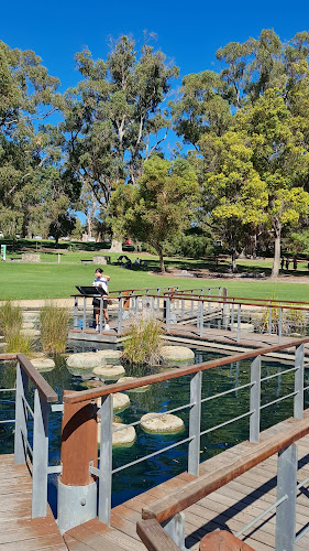 Zamia Cafe - Hospitality and gastronomy