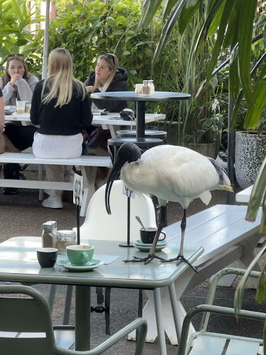 Comentarii opinii despre The Garden Room