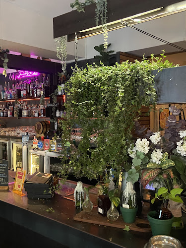 Comentarii opinii despre Captain Melville