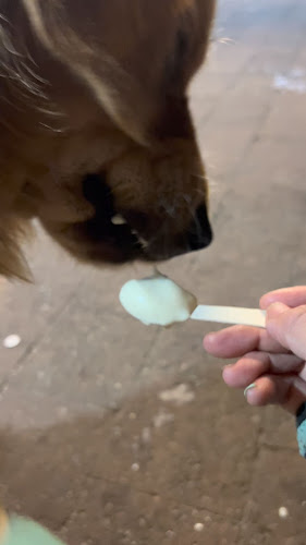 Bella Rosa Gelateria - Byron Bay