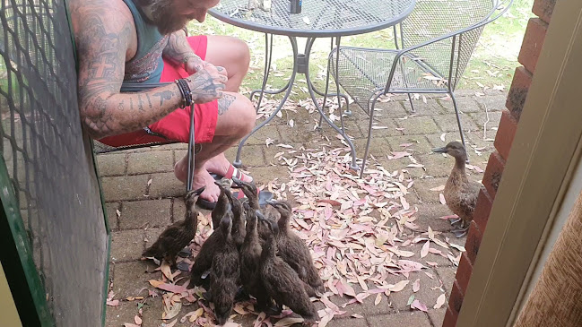 Bolters Grill, Bar and Pizzeria