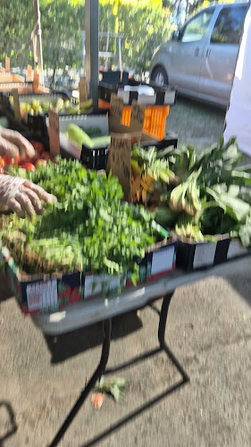 Mt Gravatt Sunday Markets - Hospitality and gastronomy