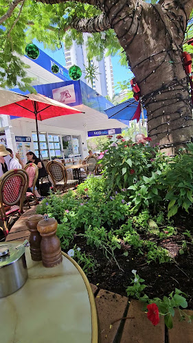 Comentarii opinii despre Le Jardin Cafe Restaurant