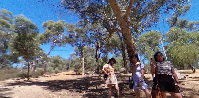 John Forrest Tavern - Hospitality and gastronomy