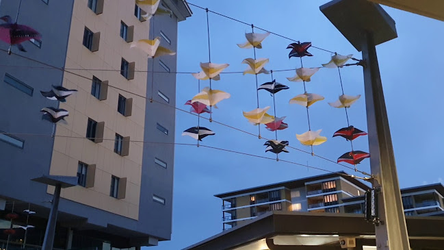 Hot Tamale - Hospitality and gastronomy