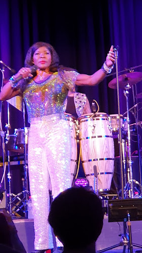 The Boat Shed Bar - Hospitality and gastronomy