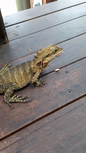 The Glen Hotel - Hospitality and gastronomy