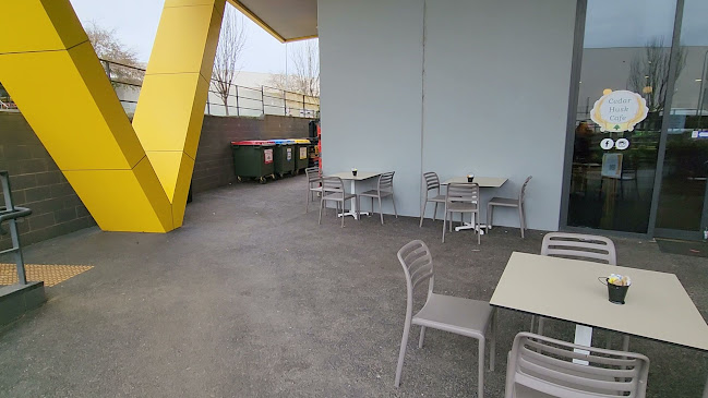 Opinii despre Cedar Husk Cafe în Fyshwick - Hospitality and gastronomy