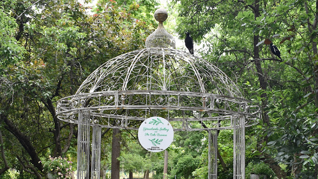 Yarralumla Gallery and Oaks Brasserie