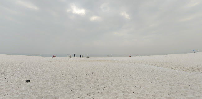 Cooked Goose on Hyams