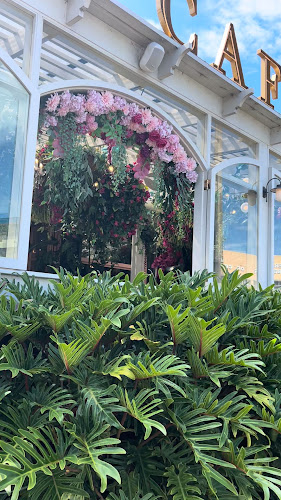 Cafe Toscano - Hospitality and gastronomy