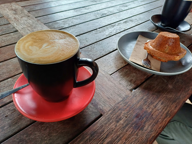 Starfish Bakery - Hospitality and gastronomy