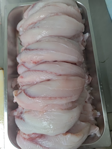 Fish Bite Seafood - Hospitality and gastronomy