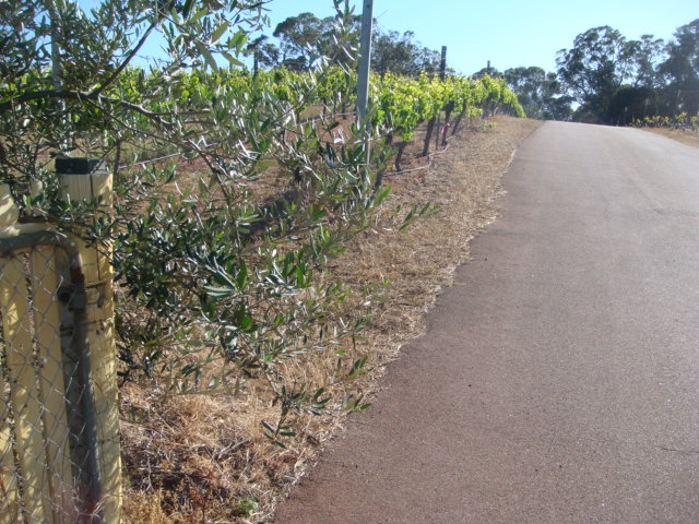 Comentarii opinii despre Donnelly River Wines at Gilead Estate