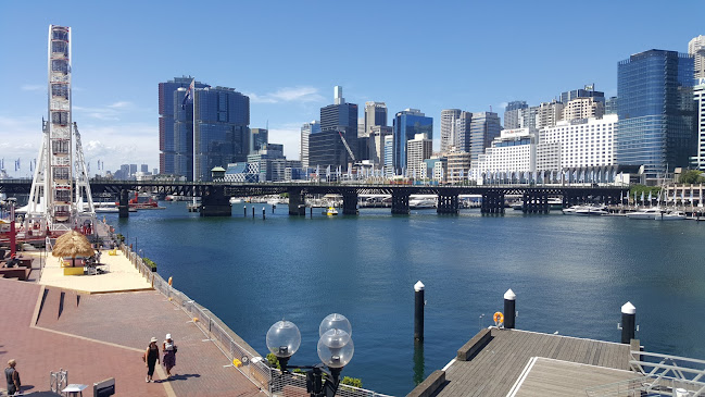 Cohibar - Hospitality and gastronomy