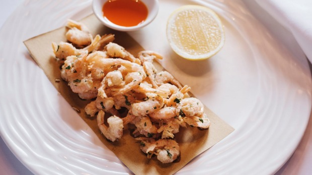 108 Boundary St, Paddington NSW 2021