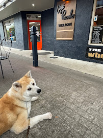 Cafe Piccolo - Hospitality and gastronomy