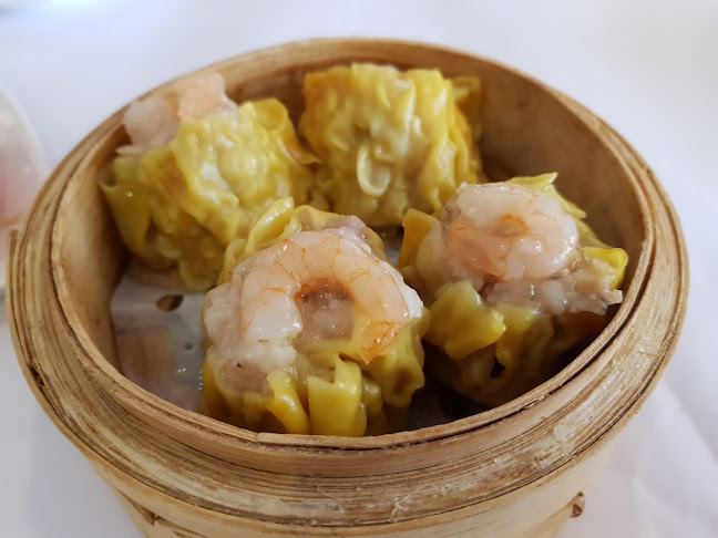 1/31-39 Gouger St, Adelaide SA 5000