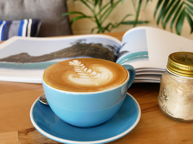 Bleu Bean Cafe - Hospitality and gastronomy