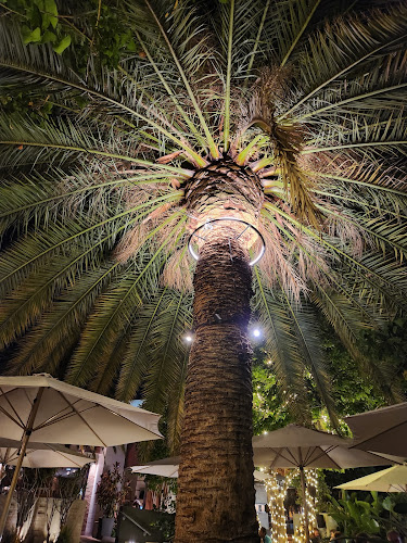 The Brisbane Hotel - Hospitality and gastronomy