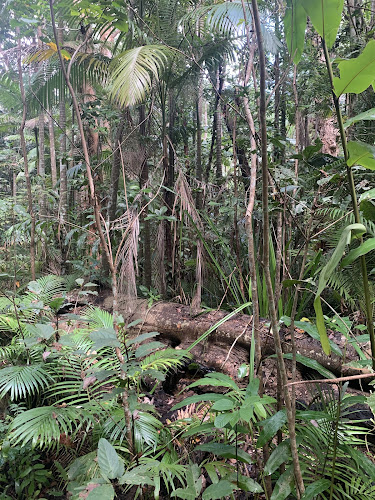 Comentarii opinii despre Botanic Gardens Restaurant & Cafe