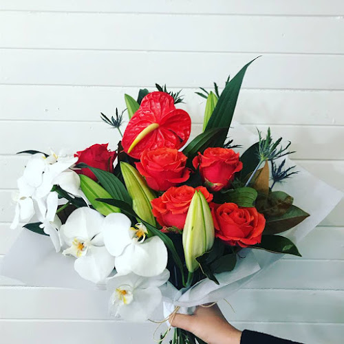 Comentarii opinii despre Fresh Denman