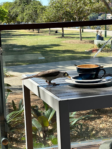 End of the Road Coffee