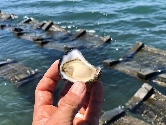 Signature Oysters - Batemans Bay
