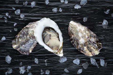 Comentarii opinii despre Richmond Oysters