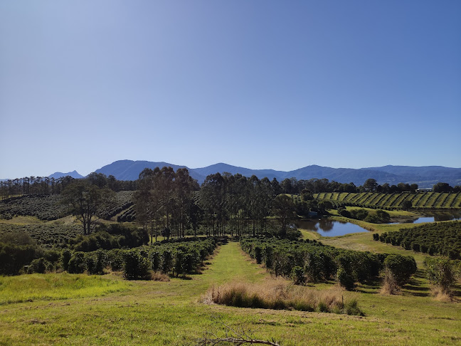 Mountain Top Coffee - Hospitality and gastronomy