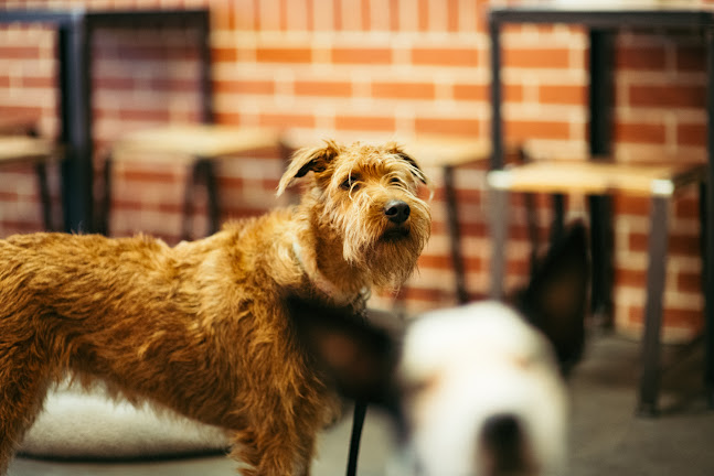 82 Ifould St, Adelaide SA 5000