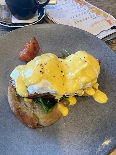 Comentarii opinii despre Apricus Launceston