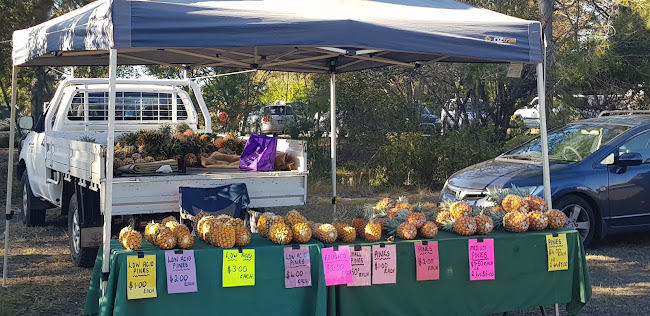 Comentarii opinii despre Koala Weekend Markets