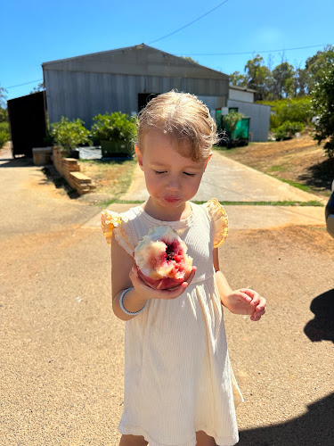 Comentarii opinii despre Spring Hill Orchard