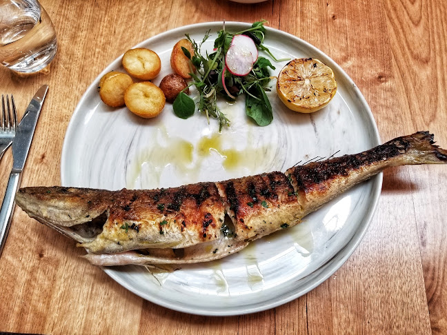 242 Pulteney St, Adelaide SA 5000