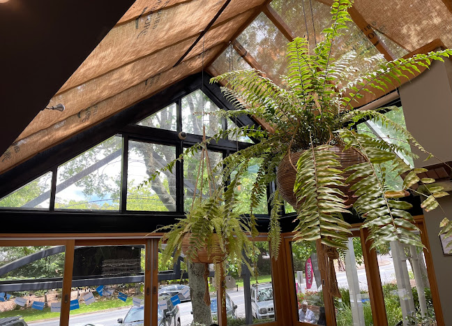 Comentarii opinii despre The Loca-Vore